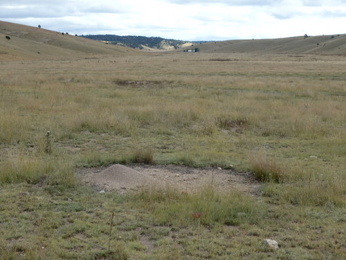 GDMBR: Ant mound in the foreground, out building in the background.